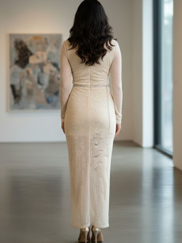 Glamorous Evening Party Dress
